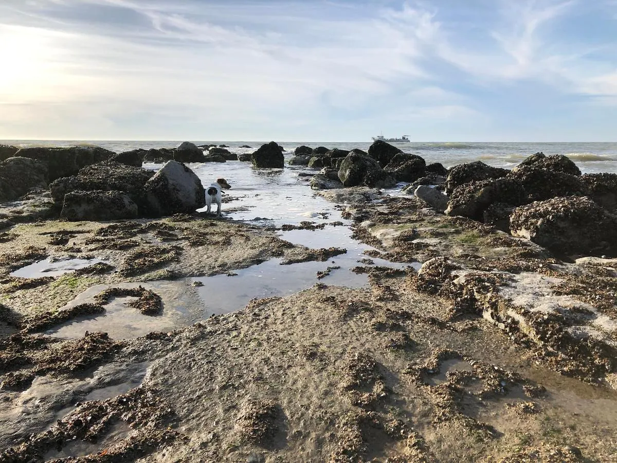 Zee Rust Daire Oostende